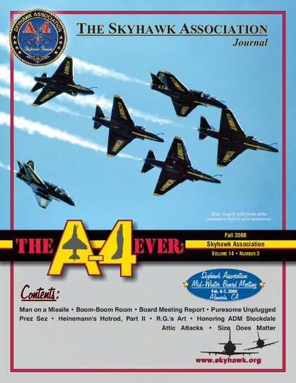 Fall 2008 (Vol. 14 No. 3) cover