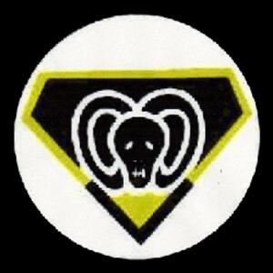 gmsron-patch.gif