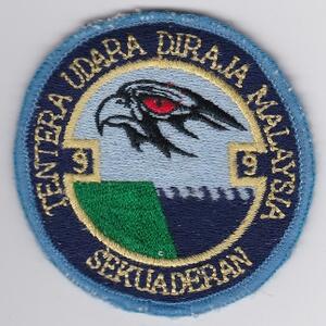 tudm-squadron9patch.jpeg
