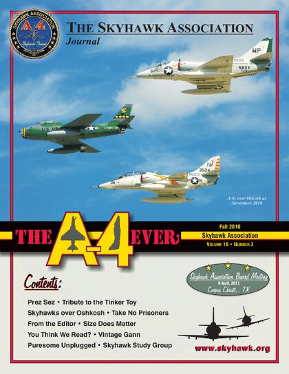 Fall 2010 (Vol. 16 No. 3) cover