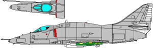 a4d-5.jpg