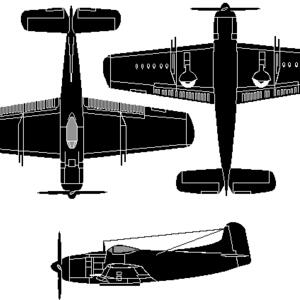 am-1.gif