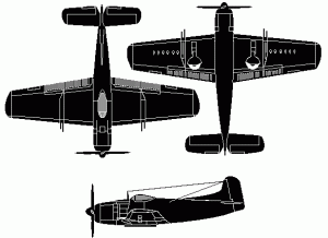 am-1.gif