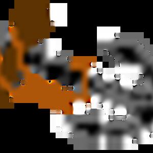 anchor.gif
