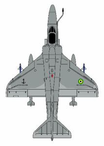 bnaf1_t.jpg