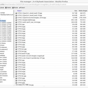 ckeditor-screenshot1-filemngr.png