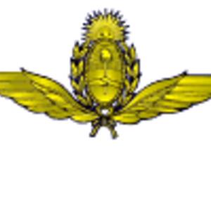 faa-wings_guillen.gif