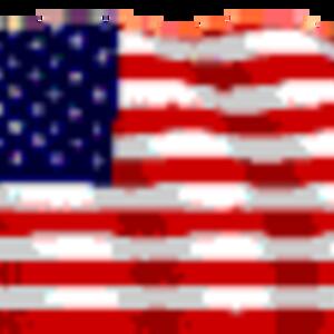 flag_usa.gif