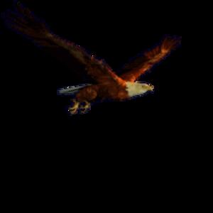 flyingeagle.gif