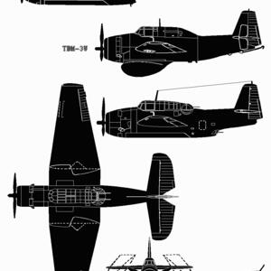 tbm.gif