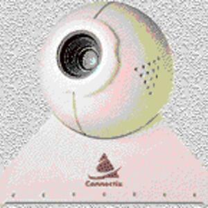 webcam-lookout1.gif