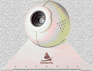 webcam-lookout1.gif