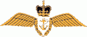 wings-logo-wings-only_thompson.gif