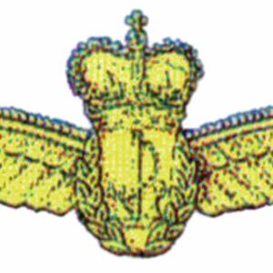 wings-ran-metal-faa_thompson.gif