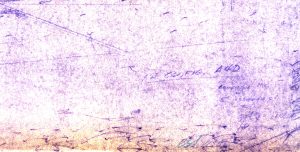 rg-dwg-daw1-mod1-contrast.jpg