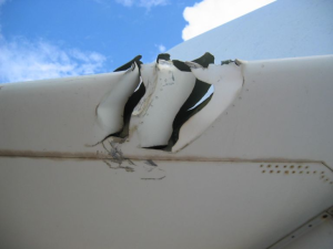 wing-damage-marana.png