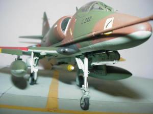 model-148262-a4p-c242-2_earl-hosmer.jpg