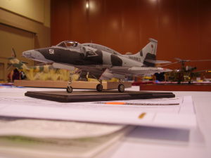 model-51-a4m-marines-2010nationals-a.jpg