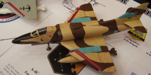 model-argentinaskyhawk-2013nationals-turpen_0.jpg