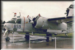 track3.jpg