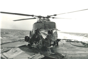 lynx3_guillen.jpg