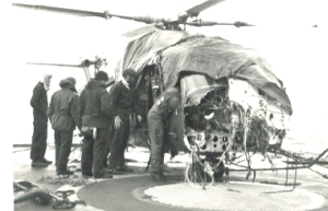 lynx4_guillen.jpg