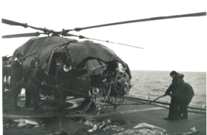 lynx5_guillen.jpg