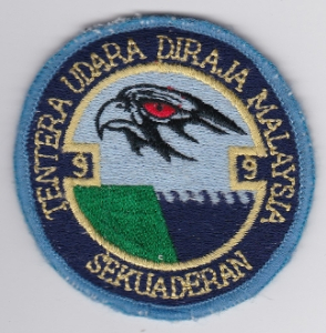 tudm-squadron9patch.jpeg
