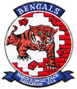 vma(aw)]-224_bengals_3.jpg